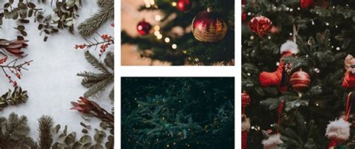 🎅 2023 Ultimate Christmas & Holiday Guide For Northern AA County