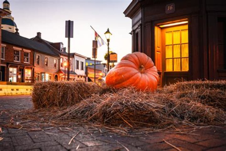 25 FREE or Cheap Things to do in Anne Arundel County