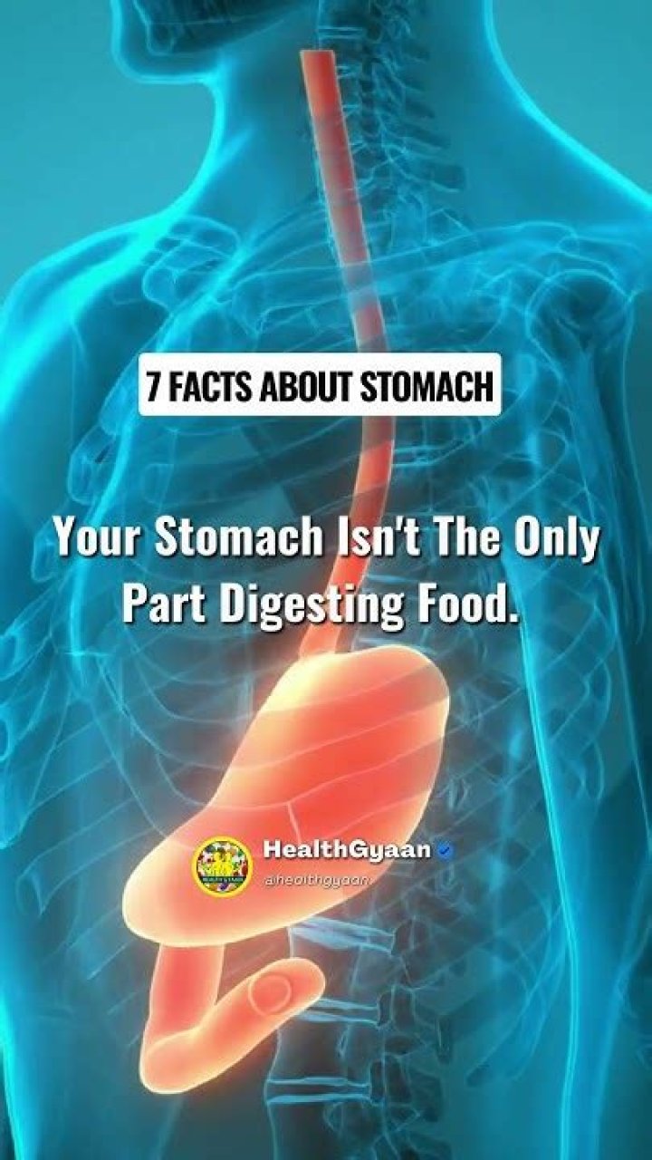 7 Surprising Facts About Your Stomach