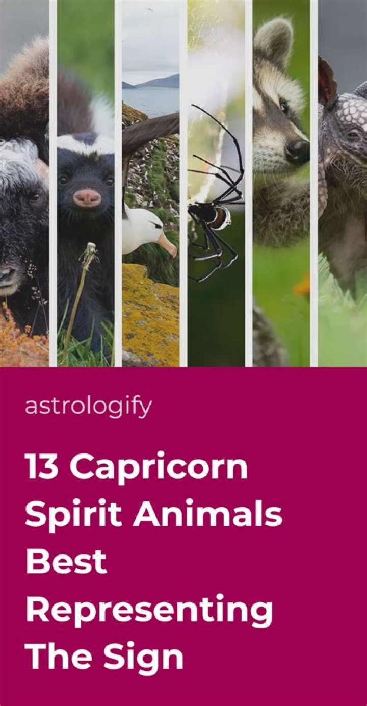 Capricorn Spirit Animals - 5 Amazing Guides for This Sign