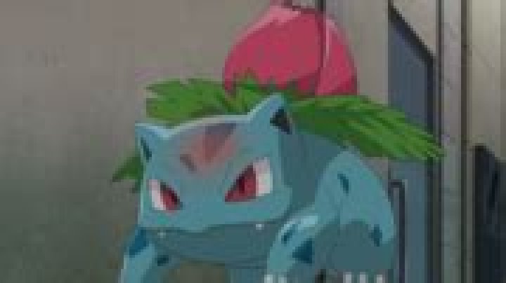 Category:Ivysaur - Bulbagarden Archives