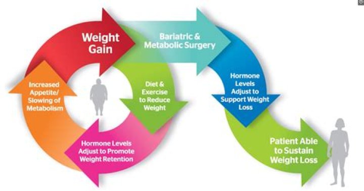 How Metabolic Health Supports Weight Management