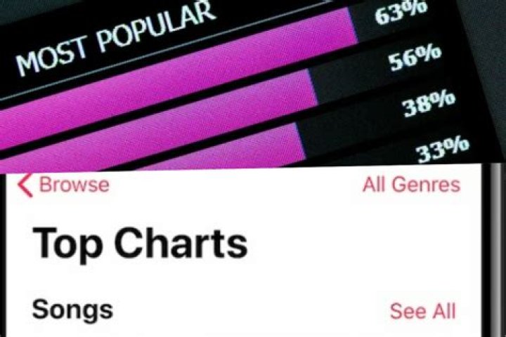 How the song 'Apples And Oranges' performed in the music charts