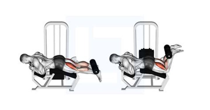 Leg Curl Exercise Guide - Signos