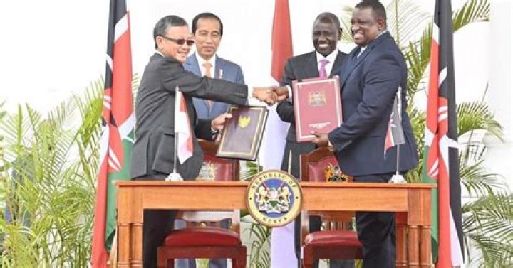 Mining vaccines, and trade, Kenya and Indonesia ink multi-faceted agreements